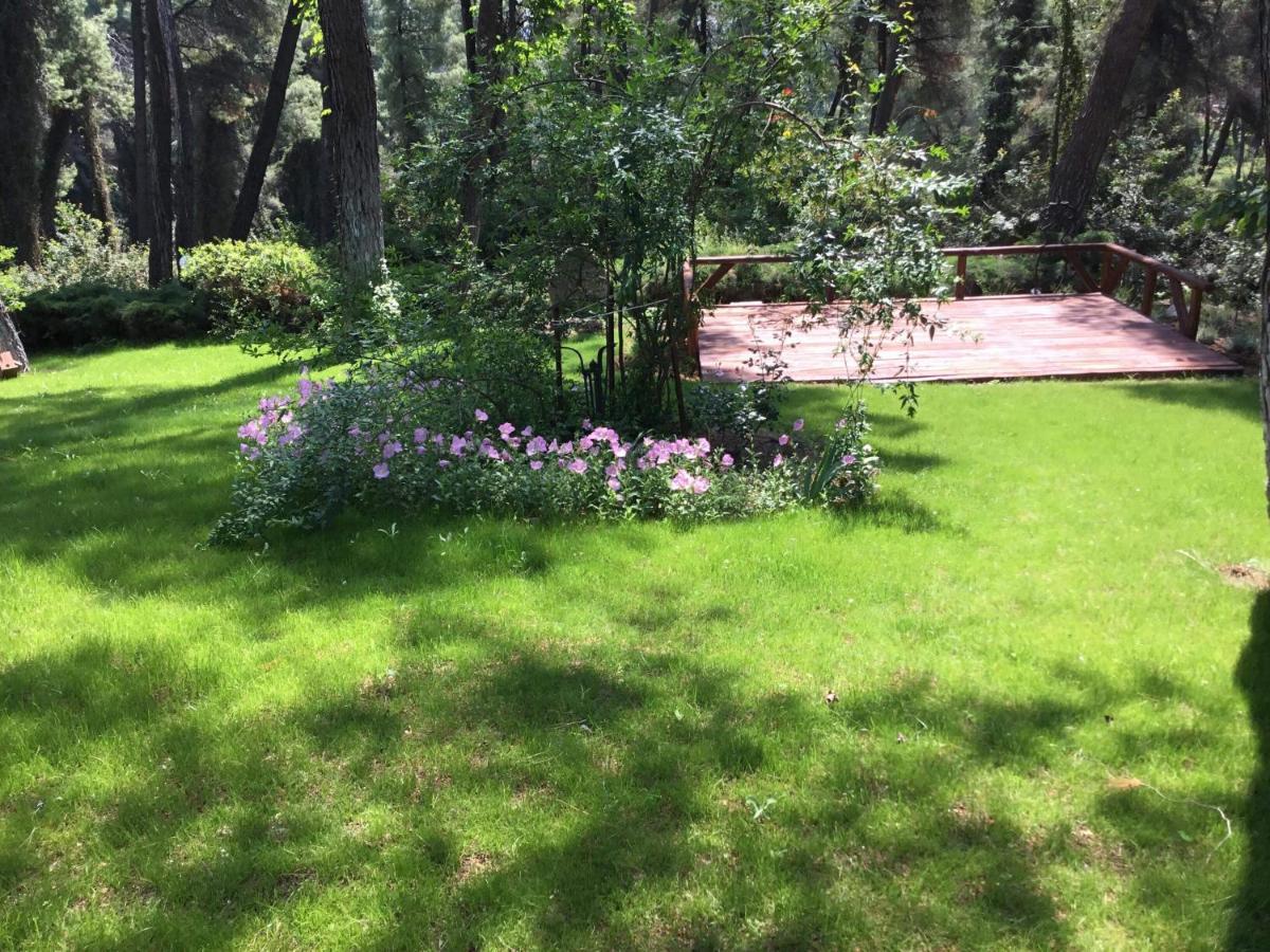 Beautiful Summerhouse In Sani'S Pine Forest Sani  Bagian luar foto