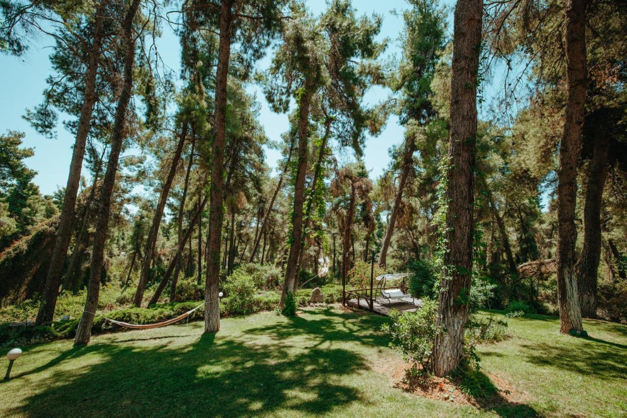 Beautiful Summerhouse In Sani'S Pine Forest Sani  Bagian luar foto