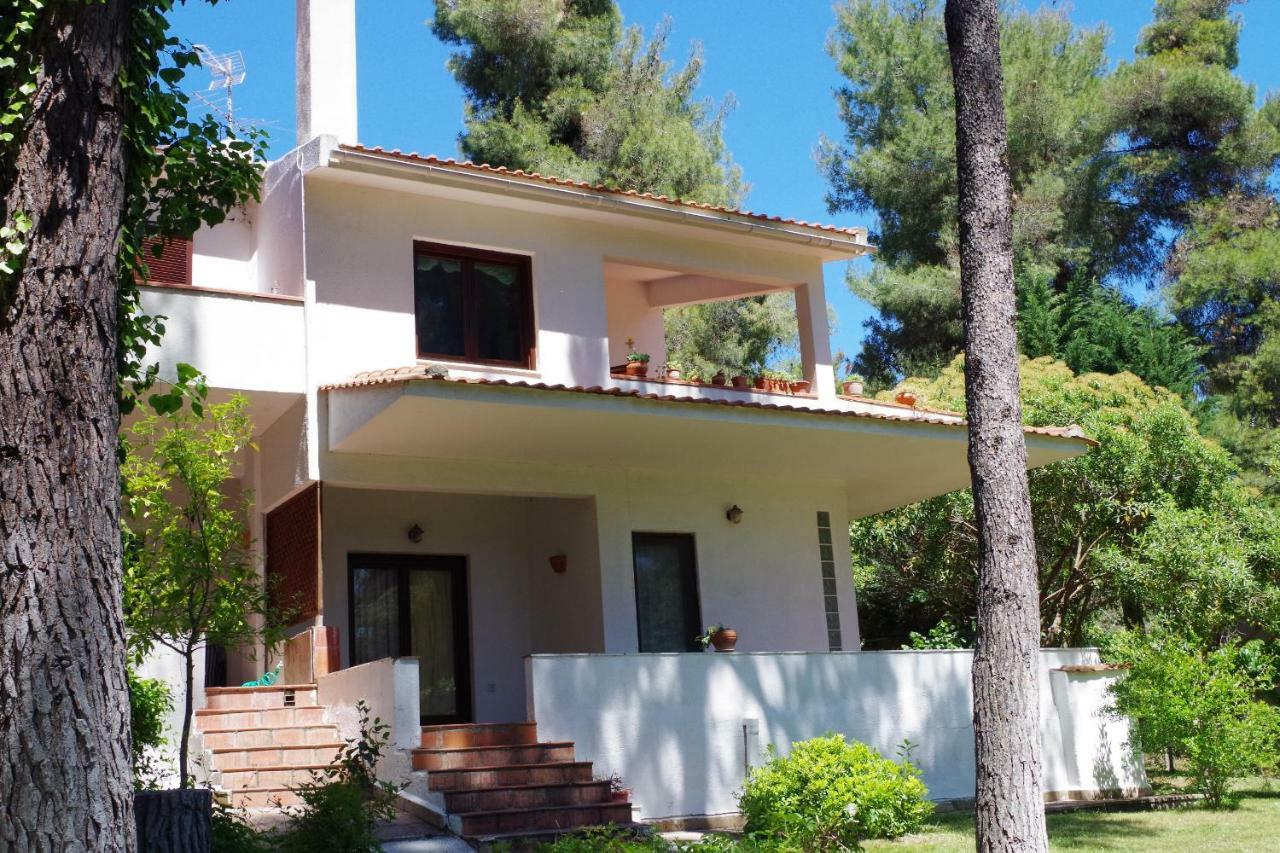 Beautiful Summerhouse In Sani'S Pine Forest Sani  Bagian luar foto